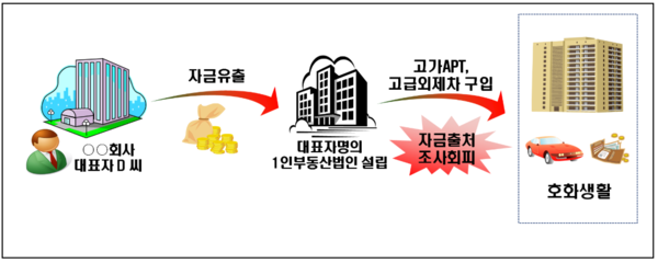 부동산법인 탈세 사례. /자료=국세청