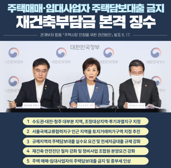6.17 부동산대책 주요 내용. /자료=국토교통부