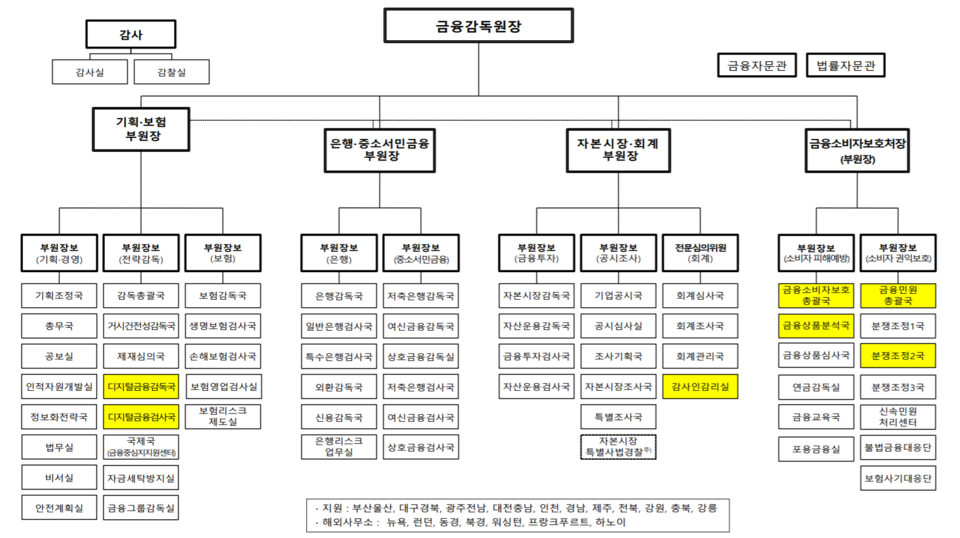 금감원 조직 개편 후 조직도. /자료=금융감독원