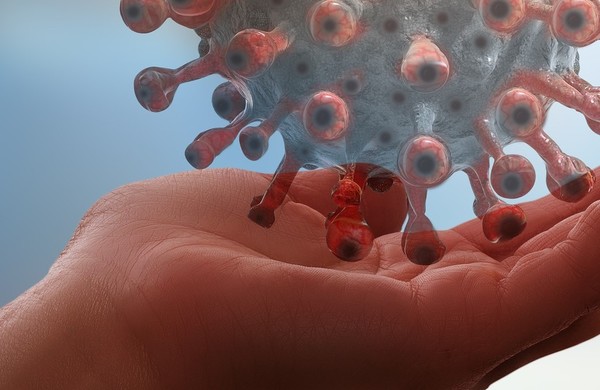 코로나19를 억제할 수 있다는 물질을 원료로 여성용 유산균을 제조 및 판매하고 있는 국제약품이 상한가를 기록했다. /사진=픽사베이