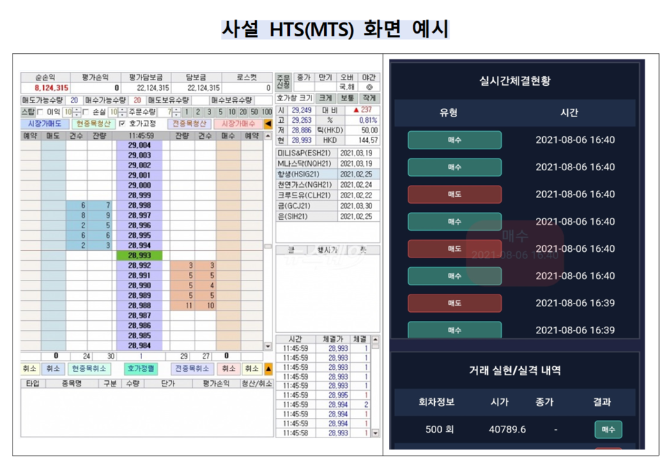 불법 금융투자업자 가운데는 자체 제작한 가짜 홈트레이딩서비스(HTS)를 이용, 투자를 유도한 뒤 돈을 챙겨 달아난 사례도 접수됐다. /자료=금융감독원