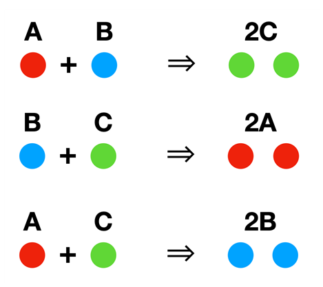 외계 행성에서 세가지 성(A, B, C)을 가진 생명체의 교배로 태어나는 자손.