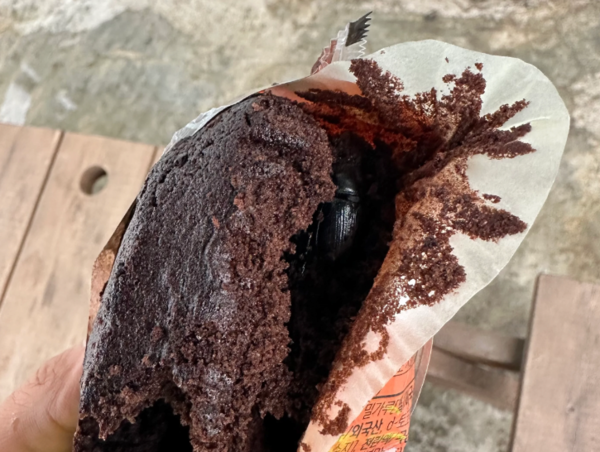 편의점에서 구매한 빵에 풍뎅이로 추정되는 곤충이 들어 있었다는 제보 사진. /사진=온라인 커뮤니티