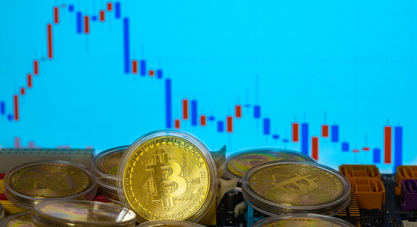 미국 증권거래위원회(SEC)가 비트코인 현물 상장지수펀드(ETF)의 거래소 상장과 거래를 승인하면서 관련주들이 뛰었다. /사진=이미지투데이