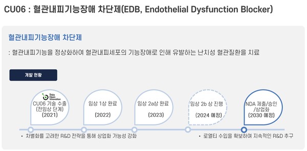 CU06 당뇨병성 황반부종 미국 임상 2a상 Topline 발표 자료 발췌. /자료=큐라클