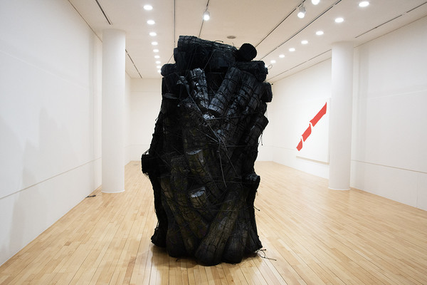 이배, 불로부터-2, 2600x1300cm, 소나무숯_검정끈 묶음, 2010
