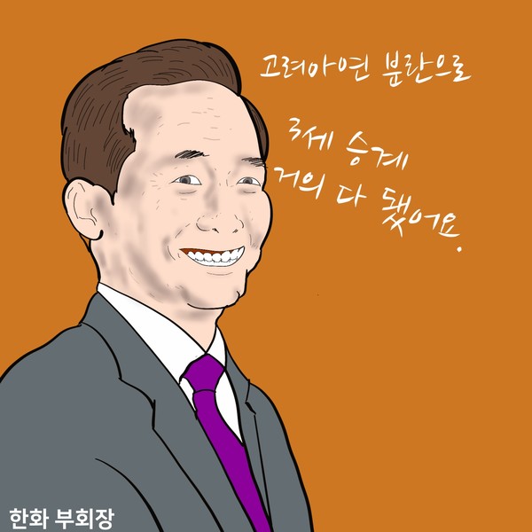 고려아연 한화 지분 인수로 지배력 강화한 김동관 부회장. /일러스트=조수연 편집위원