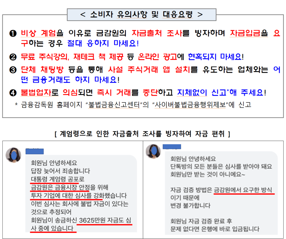 금융감독 당국은 최근 불안정한 정치 상황을 악용해 불법 주식리딩방 사기가 우려된다며 소비자경보를 내렸다. /자료=금융감독원