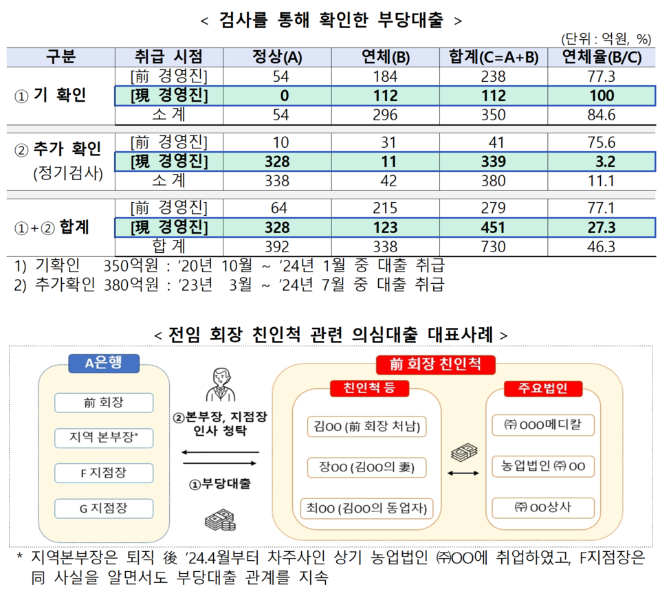 우리금융에서 기존에 확인된 손태승 전 회장 친인척 관련 의심 대출 350억원 이외에 다수의 임직원이 관여된 부정대출 380억원이 추가로 드러났다. /자료=금융감독원