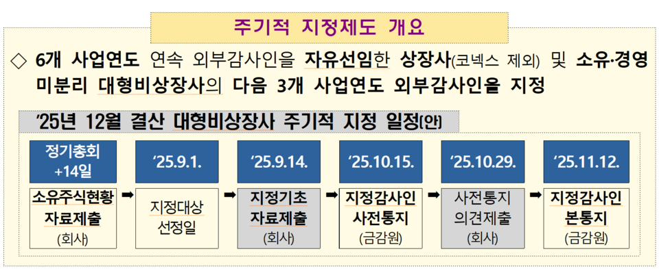 ‘주기적 지정’이란 6개 사업연도 연속으로 자신들이 원하는 외부감사인을 선임한 회사는 다음 3개 사업연도는 금융당국이 지정한 회계법인으로부터 감사를 받아야 하는 제도다. /자료=금융감독원