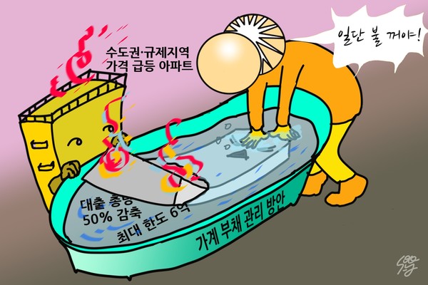 금융위원회 6·27 가계부채 관리 방안. /일러스트=조수연 편집위원