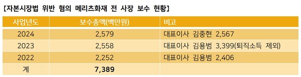 자료 2. /출처=메리츠화재해상보험 사업 보고서 재구성