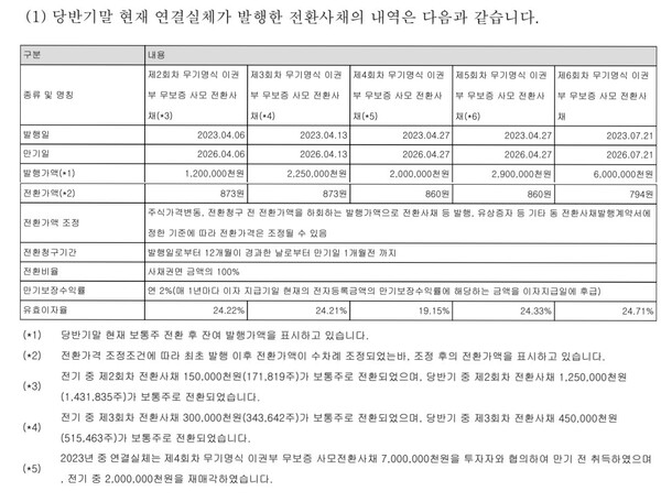 자료 4. 네오펙트 전환사채 발행 내역. /출처=네오펙트 반기보고서