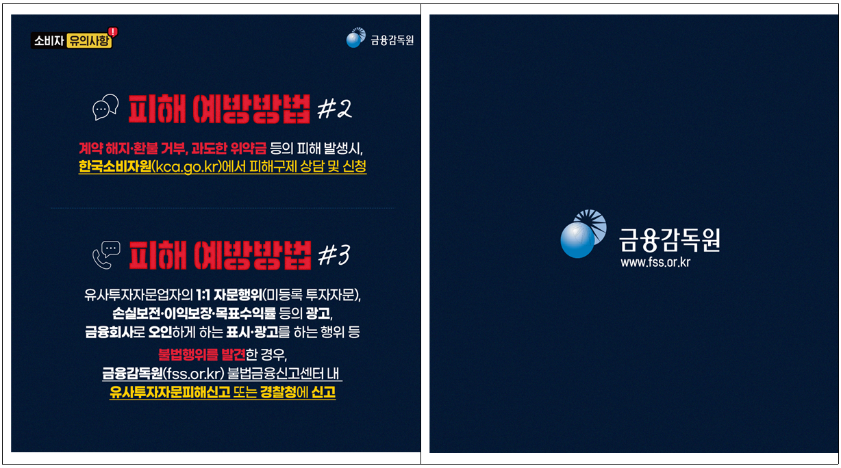 /자료=금융감독원