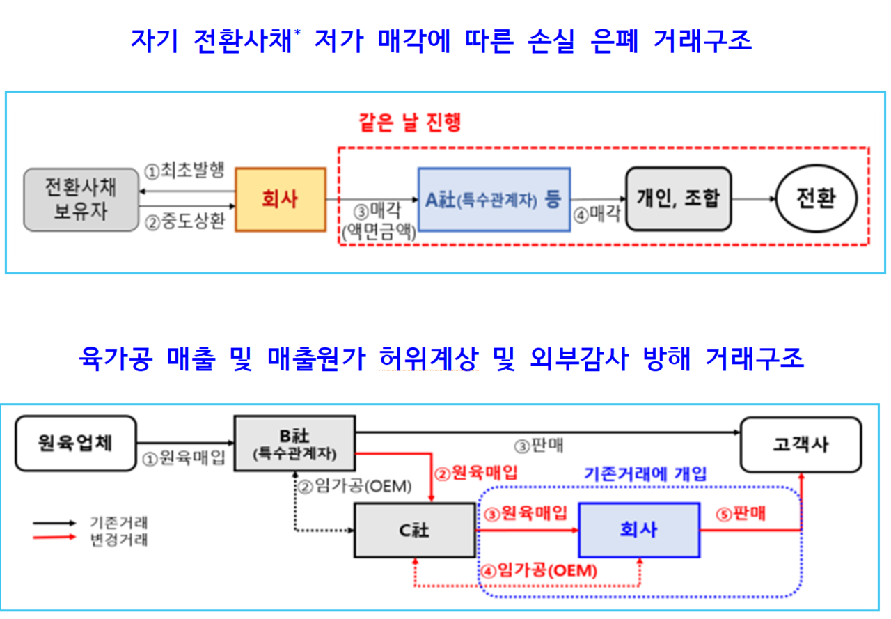 ‘웰바이오텍’의 전환사채 매각 손실 은폐 등 회계 부정행위. /자료=금융위원회