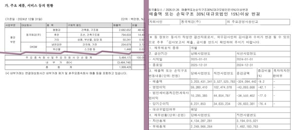 자료 6. /출처=동국홀딩스 사업보고서 및 수시 공시