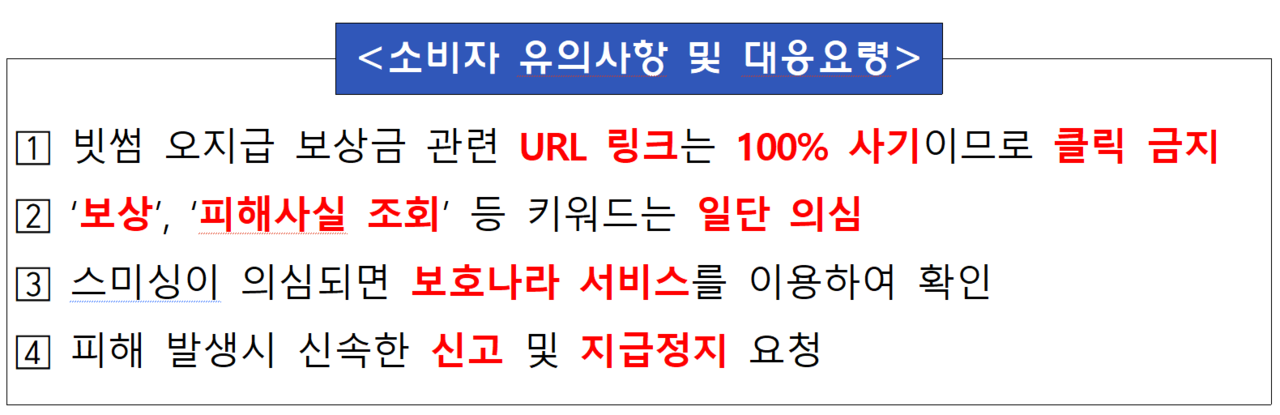 /자료=금융감독원