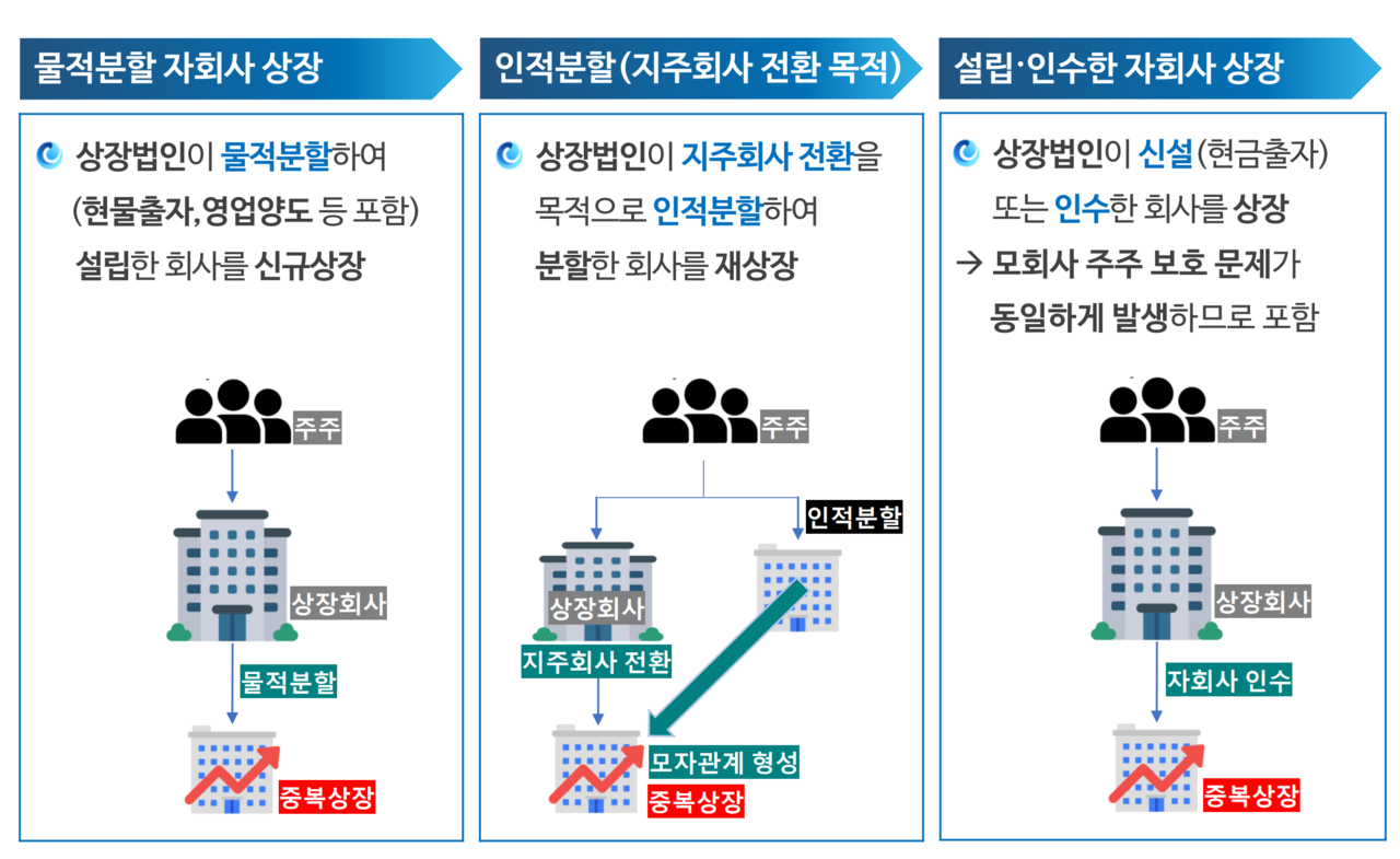 중복상장 심사 대상. /자료=금융위원회