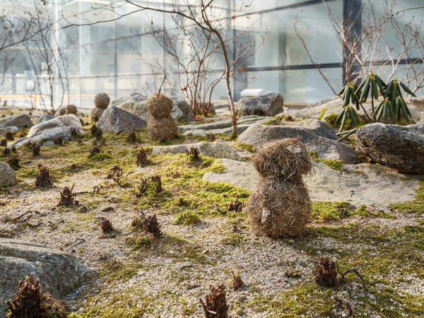 고사리, '초사람', 2026
