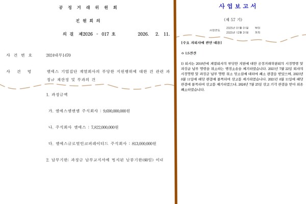 자료 3. /출처=공정거래위원회, 금융감독원