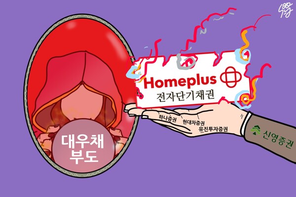 홈플러스전단채와 대우채 사태./일러스트=조수연 편집위원