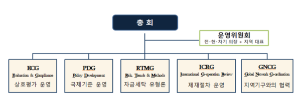 국제자금세탁방지기구(FATF)의 총회 운영방식. /자료=금융위원회