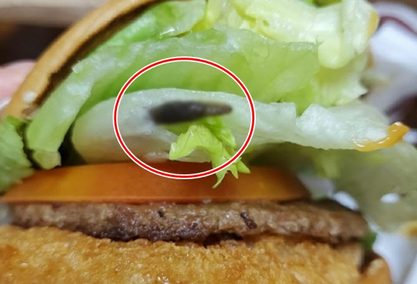 유명 프랜차이즈 햄버거의 양상추에서 민달팽이가 나왔다. /사진=인터넷커뮤니티