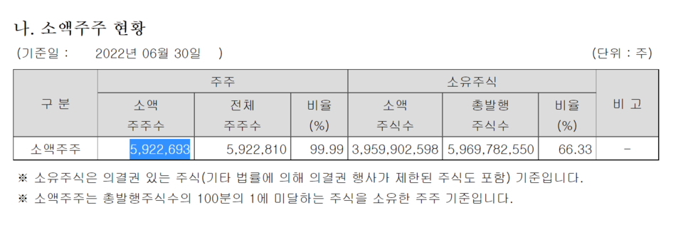 지난 6월 말 기준 삼성전자의 소액주주는 592만2693명을 기록, 6개월 사이에 85만6342명 늘었다. /자료=금융감독원 전자공시 시스템